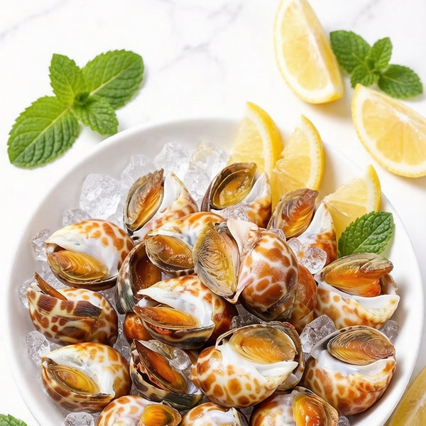 Spotted Babylon Snails